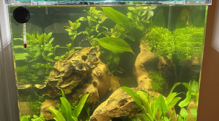 aquarium Nano Cube