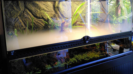 Les 6 CPO sont de sortie