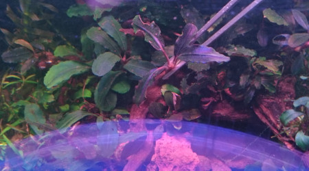 Pour le plaisir des yeux...