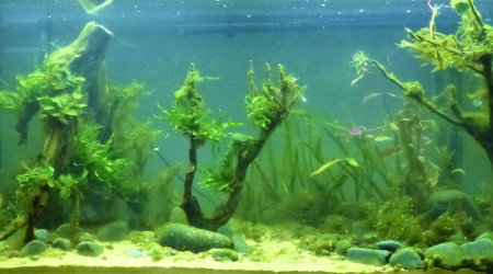 J+20 : La guerre de cent ans