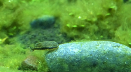 J+20 : La guerre de cent ans