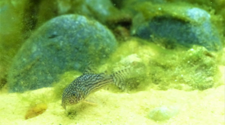 J+20 : La guerre de cent ans