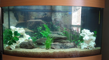 aquarium Lonico42
