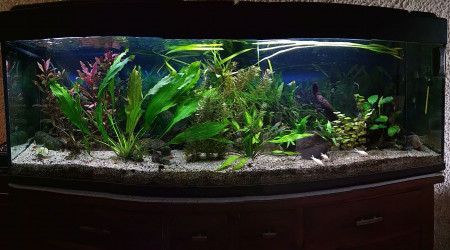 aquarium 370L brut