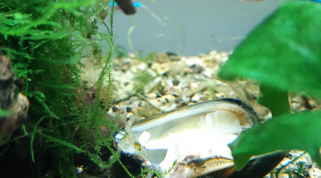 Moule (et huitre)...validé!