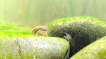 J + 1 mois : Je les collectionne......