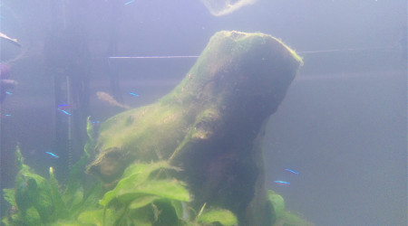 J + 1 mois : Je les collectionne......