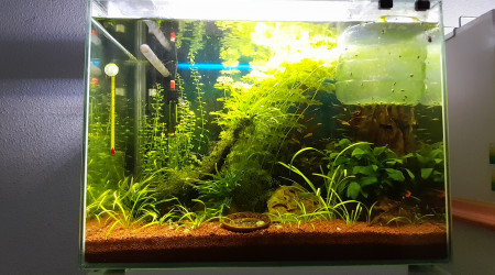 aquarium HOME 80