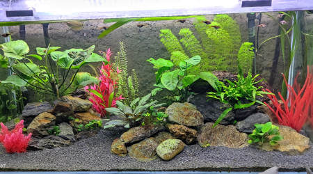 Évolution du bac fin septembre