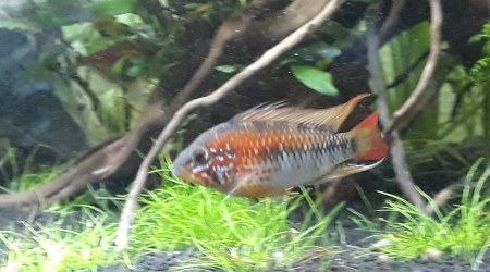 Petit kif avant de partir au boulot