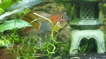 Petit kif avant de partir au boulot