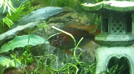 Petit kif avant de partir au boulot