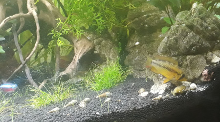 Petit kif avant de partir au boulot