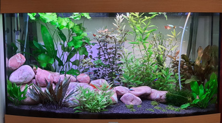 aquarium 180l juwel vision