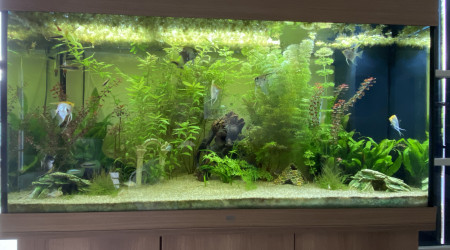 aquarium Salon 360 L