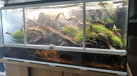 aquarium Vivarium