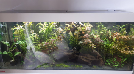 aquarium Aqua Alain87