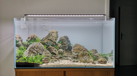 aquarium Rockymountain - 80x40x40