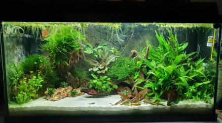 aquarium 120L