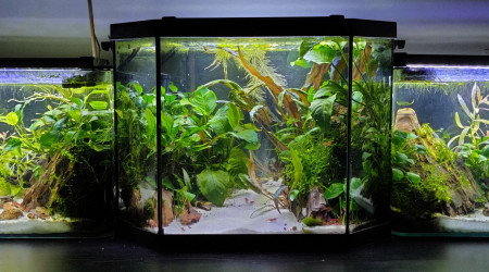 VUE D'ENSEMBLE DU TRIPTYQUE