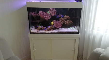 Ancien remplacé par redsea reefer de luxe 200