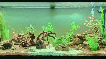 Ajout de plantes supplémentaires