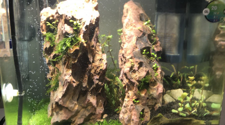 Nano aqua avec un nouveau hardscape