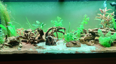 Ajout premiers habitants