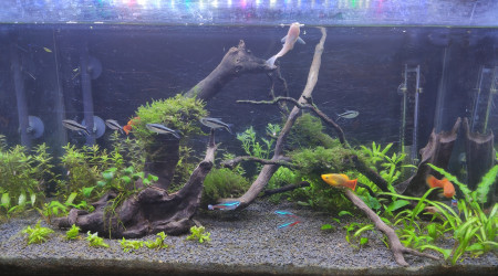 2 mois et demi après l'installation