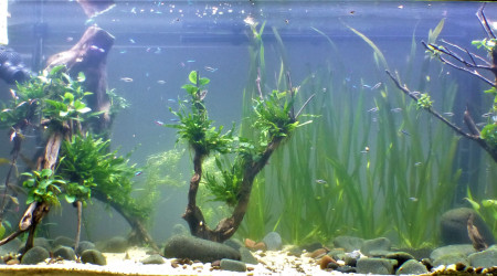 J + 2 mois : Le brouillard s'est levé!