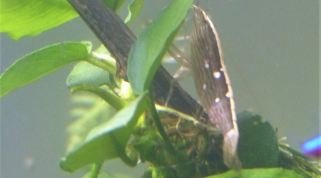 J + 2 mois : Le brouillard s'est levé!