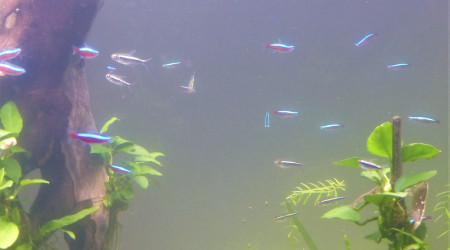 J + 2 mois : Le brouillard s'est levé!