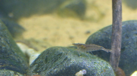 J + 2 mois : Le brouillard s'est levé!