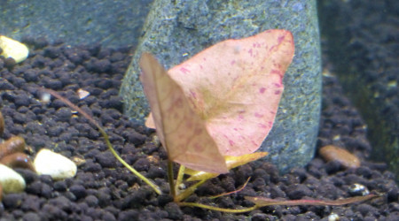 J + 2 mois : Le brouillard s'est levé!