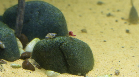 J + 2 mois : Le brouillard s'est levé!