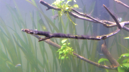 J + 2 mois : Le brouillard s'est levé!