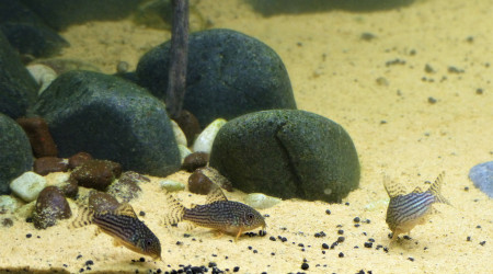 J + 2 mois : Le brouillard s'est levé!