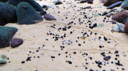 Usain Bolt a encore frappé...