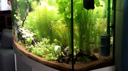 Après la maintenance du samedi