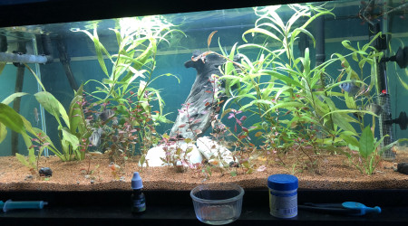 aquarium Aquarium