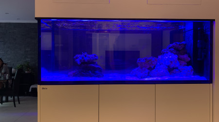 aquarium Redsea Peninsula 650