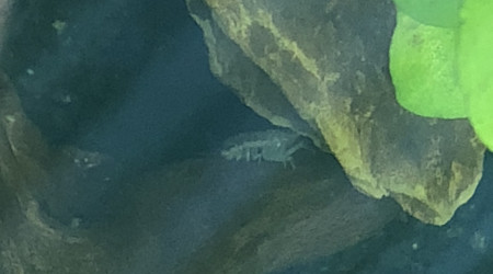 C est l’heure du déjeuner