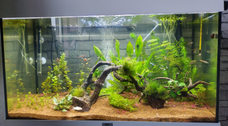 aquarium 120 litres