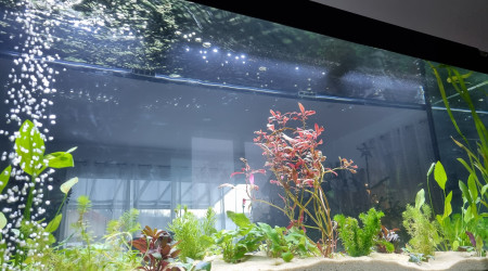 aquarium 450l