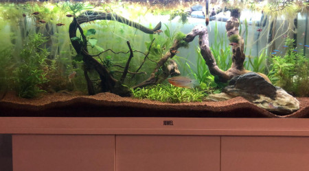 aquarium Aquarium 180L