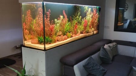 aquarium Mur