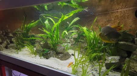 Repas du soir ! Ca bouge.