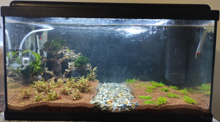 aquarium 60l