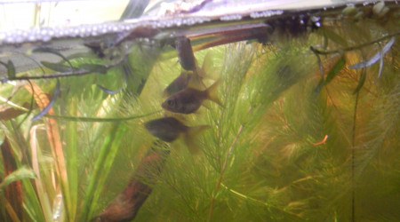 Repro septembre 2021