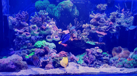 Joyeux Noël à vous